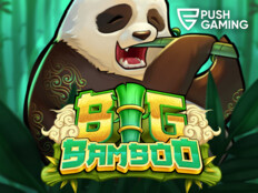 Mr bet casino app24